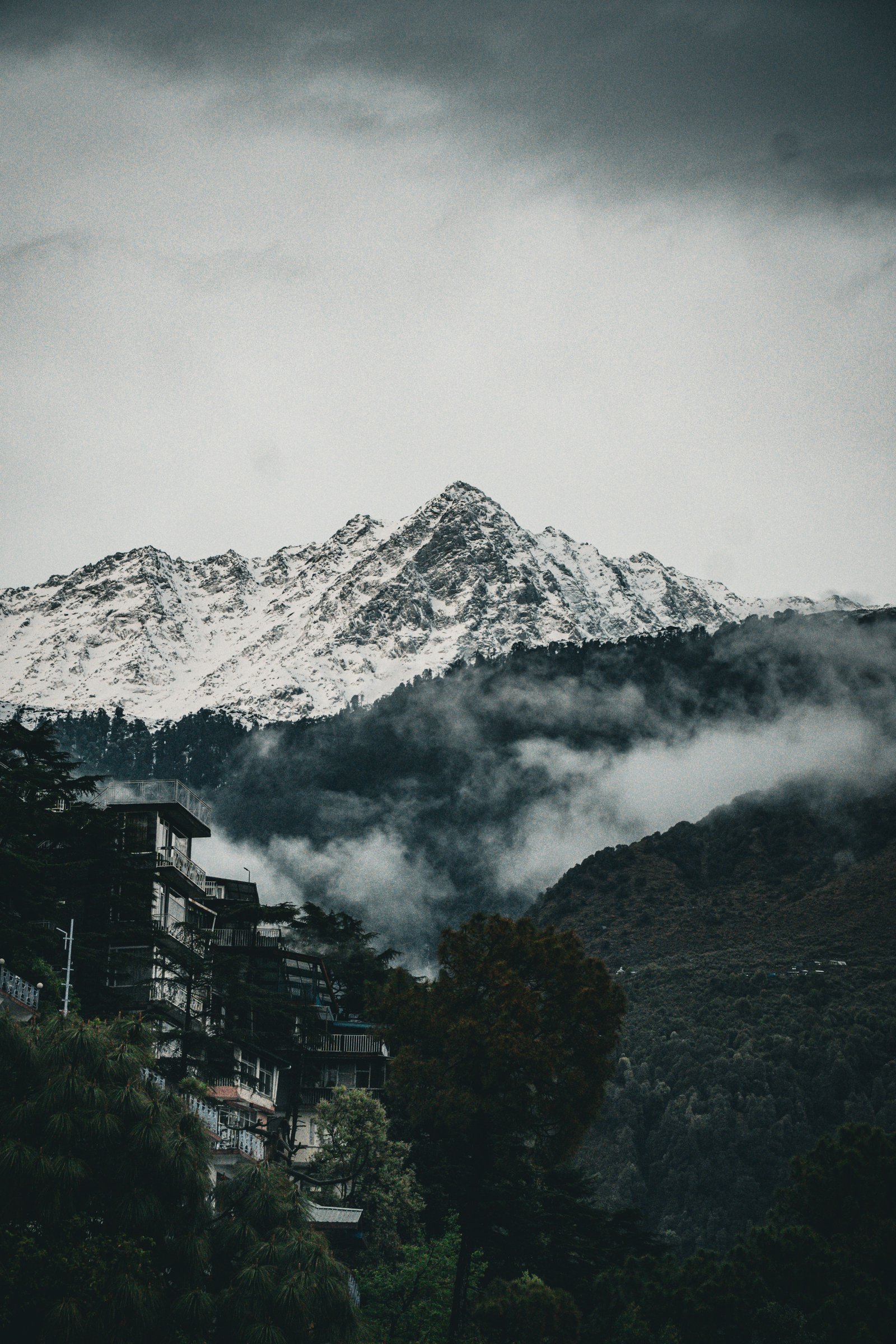 Dharamshala Destination