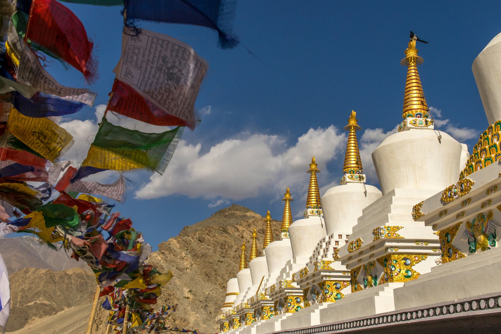 Leh-Ladakh Destination